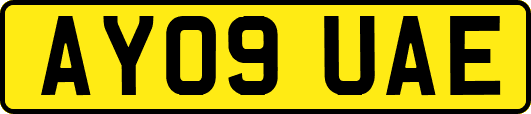 AY09UAE