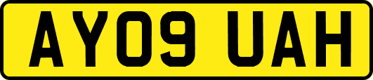 AY09UAH