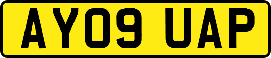 AY09UAP