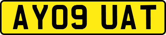 AY09UAT
