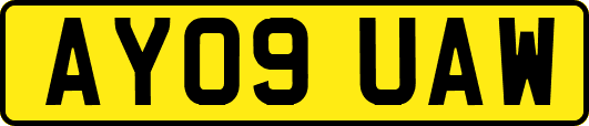 AY09UAW