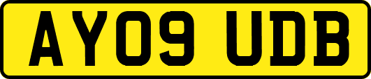 AY09UDB