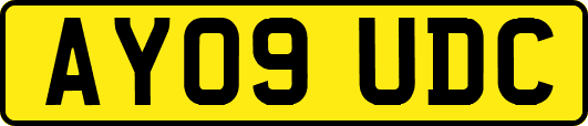 AY09UDC