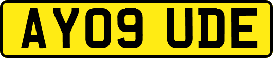 AY09UDE