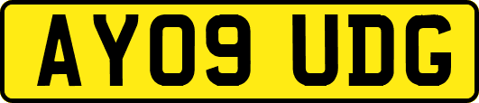 AY09UDG