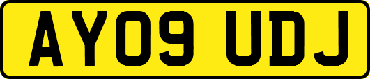 AY09UDJ