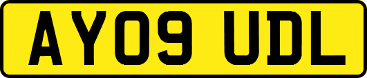 AY09UDL