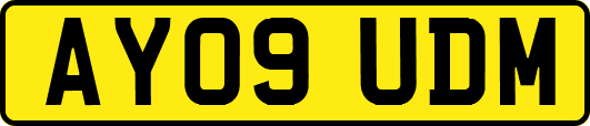 AY09UDM