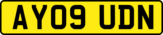 AY09UDN