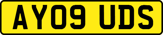 AY09UDS