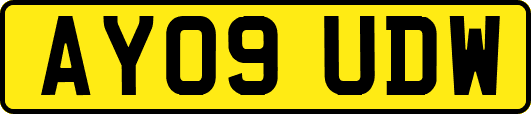 AY09UDW