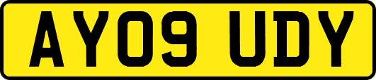 AY09UDY