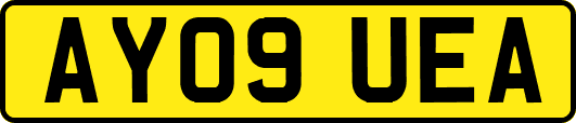 AY09UEA