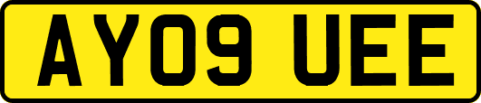 AY09UEE