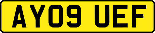 AY09UEF