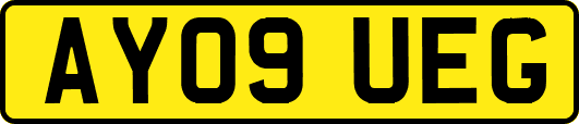 AY09UEG