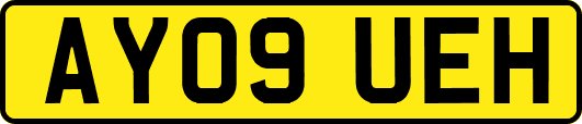 AY09UEH
