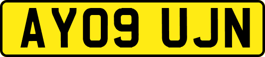 AY09UJN