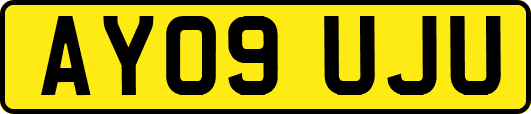 AY09UJU