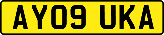 AY09UKA