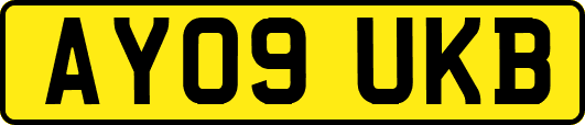 AY09UKB