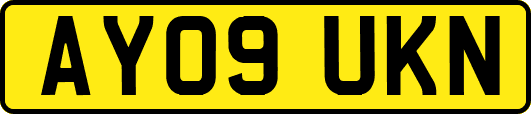 AY09UKN