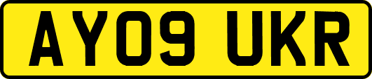 AY09UKR