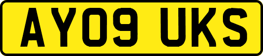 AY09UKS