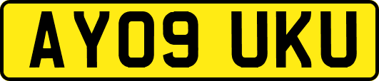 AY09UKU