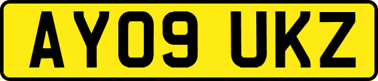 AY09UKZ