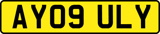 AY09ULY