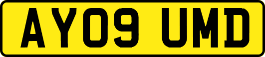 AY09UMD