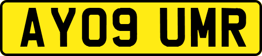 AY09UMR