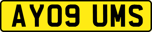AY09UMS