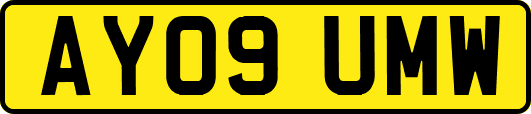AY09UMW