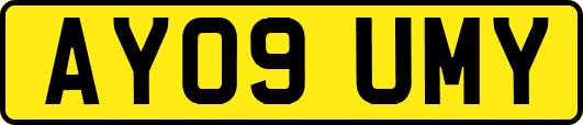 AY09UMY