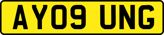 AY09UNG