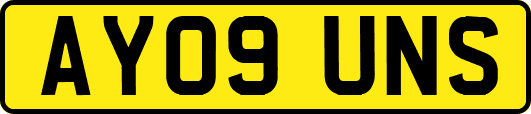 AY09UNS