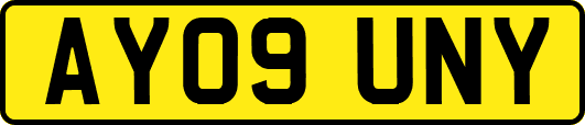 AY09UNY
