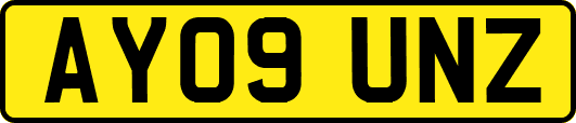 AY09UNZ