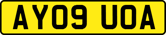AY09UOA