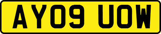 AY09UOW