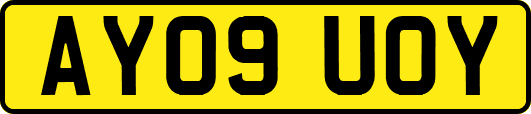 AY09UOY