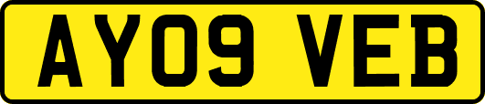 AY09VEB