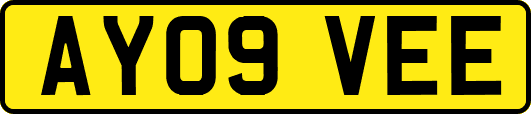 AY09VEE