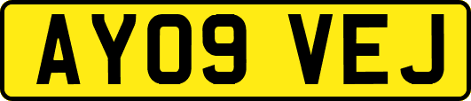 AY09VEJ