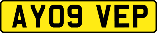 AY09VEP