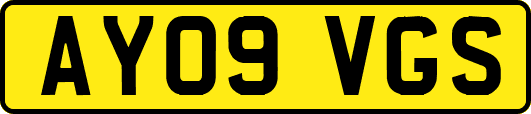 AY09VGS