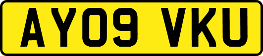 AY09VKU