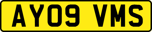 AY09VMS